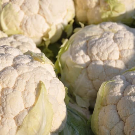 Blumenkohl