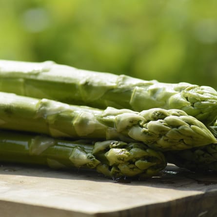 Spargel