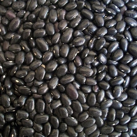 Schwarze Bohnen Schwarze Bohnen