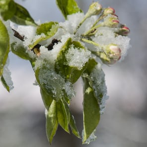 Bevor der Sommer kommt