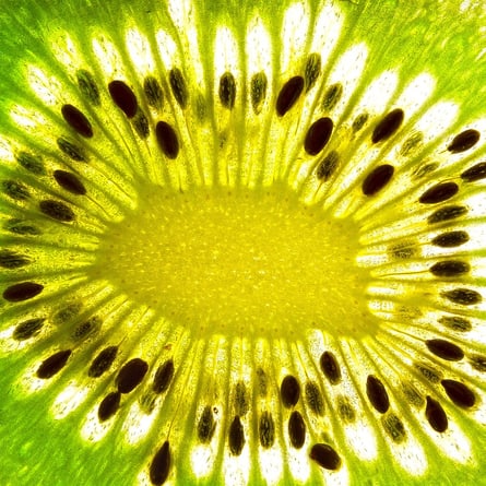 Kiwi