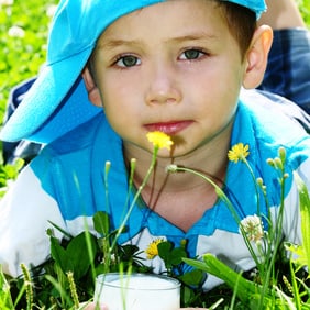 Was tun, wenn das Kind keine Milch trinkt?