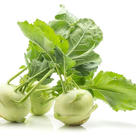 Auch der Kohlrabi leutet den Frühling ein