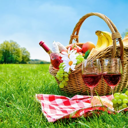 Ein Picknick - ein Spass für Gross und Klein