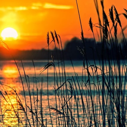 Sonnenuntergänge am See sind besonders eindrucksvoll. 