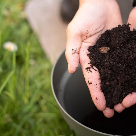 Komposterde Komposterde