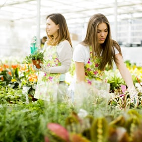 Gemüse aus dem eigenen Beet - besonders fein 