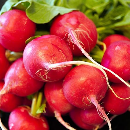 Radieschen