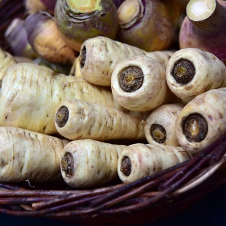 Pastinaken Pastinaken