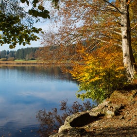 Der Herbst in voller Farbenpracht