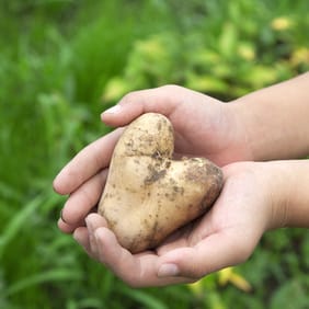 Die Natur bringt wahre Wunder hervor 