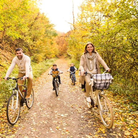 Familie mit Rad im Wald