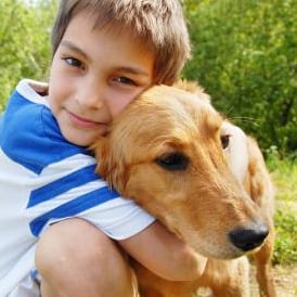 Eltern sollten erst abklären, welcher Hund geeignet ist, der beste Freund ihrer Kinder zu werden.