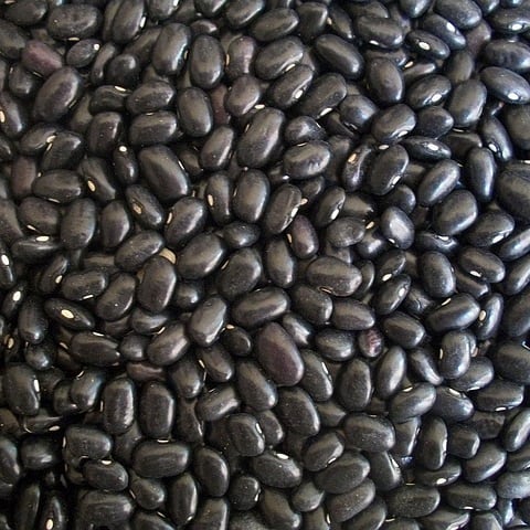 Schwarze Bohnen