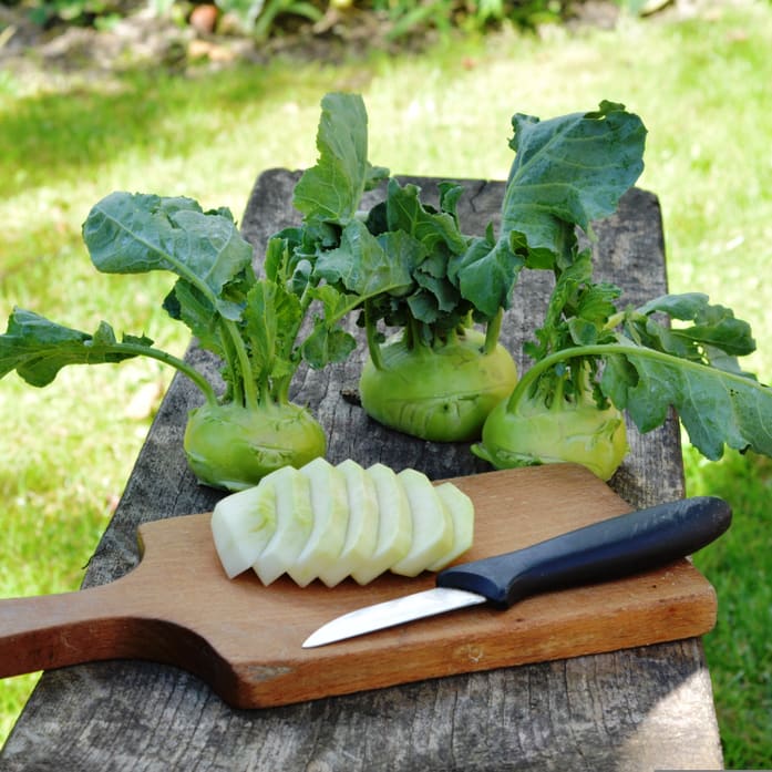 Kohlrabi