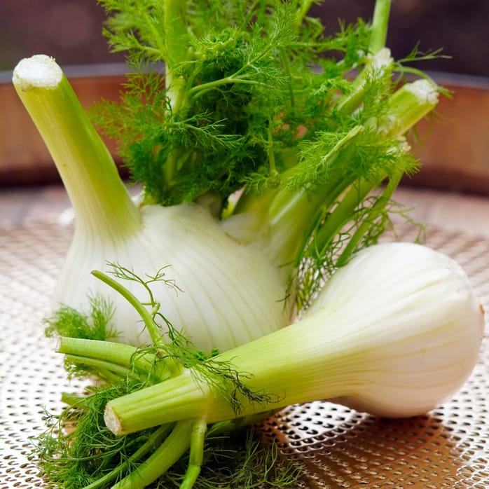 Fenchel