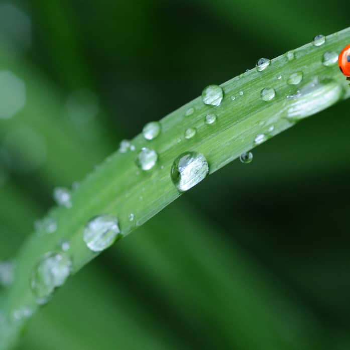 Wassertropfen