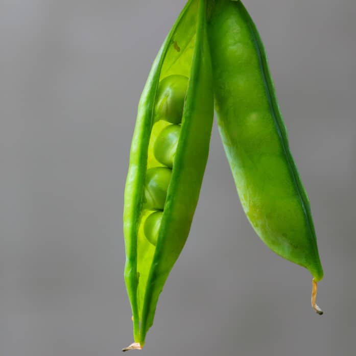 Erbsen
