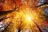 So schön funktelt es in herbstlichen Farben